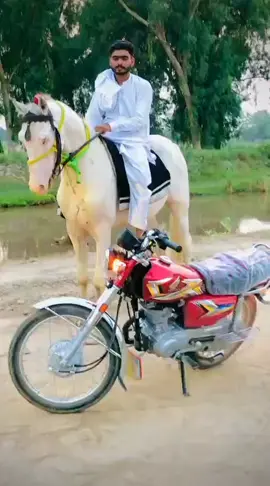 #trandingvideo #viraltiktok #alhamdulillah❤️ #gujjarboys🔥🦁 #foryoupag🥀🥀🥀🥀 @ZOHAIB ❌ @Atif Gujjar 💸✨ 