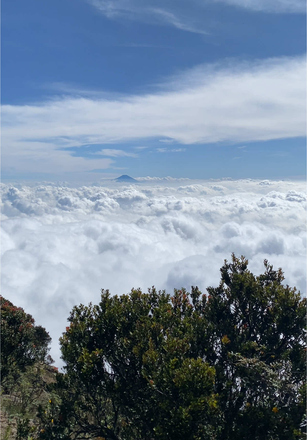 pov : jam 12 siang di puncak gunung sumbing🥶 #gunung  #gunungsumbing3371mdpl #pendakigunung #pendakiindonesia #mountain #explorgunung #pendakigunungindonesia 