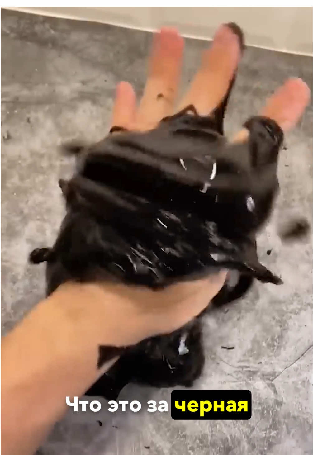 Что это за чёрная жидкость, которая как Веном - ведёт себя как будто живая? Она изгибается, тянется за магнитом и выглядит так, будто у неё есть разум. Это не фантастика и не симбиот из комиксов марвел про спайдермэна — это реальная технология, которую уже используют в космосе, робототехнике и даже слаймах. Феррожидкость — одно из самых завораживающих веществ, которое ты видел. #веномслайм #марвел #живаяжидкость #необычныевещества #спайдермэн #научныефакты #симбиот #интересноевидео #слаймы #технологии #материалыбудущего #Science #залипательноевидео 