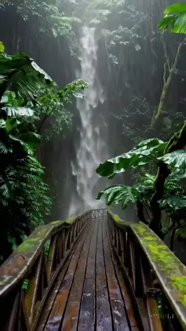 #nature 