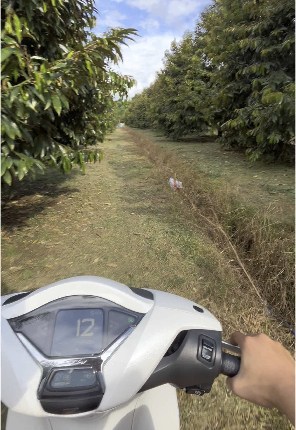 Thăm vườn đại gia đạ lây ❤️ #xuhuongtiktok #xuhuong 