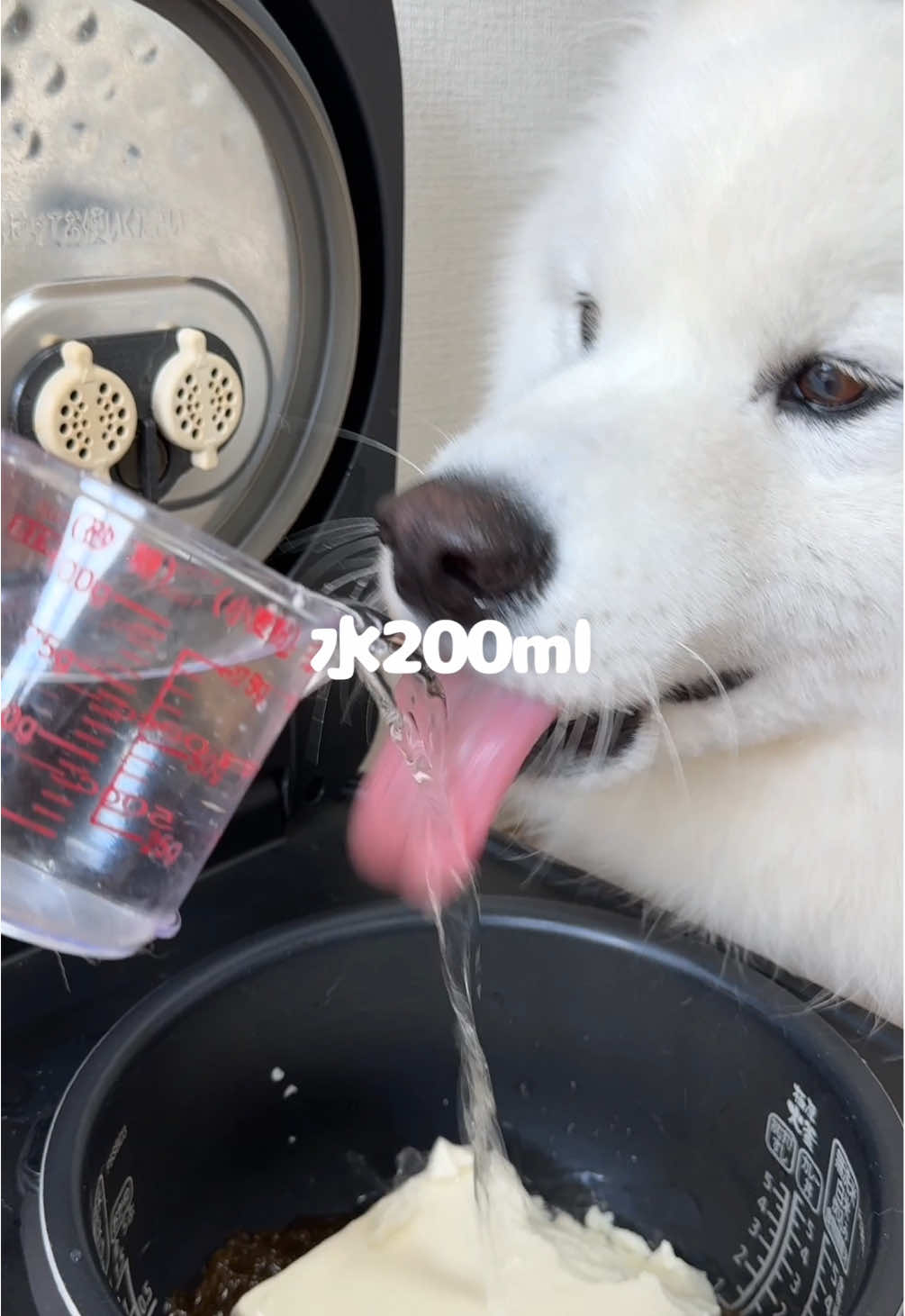 もずくスープつくったら爆食してくれました！