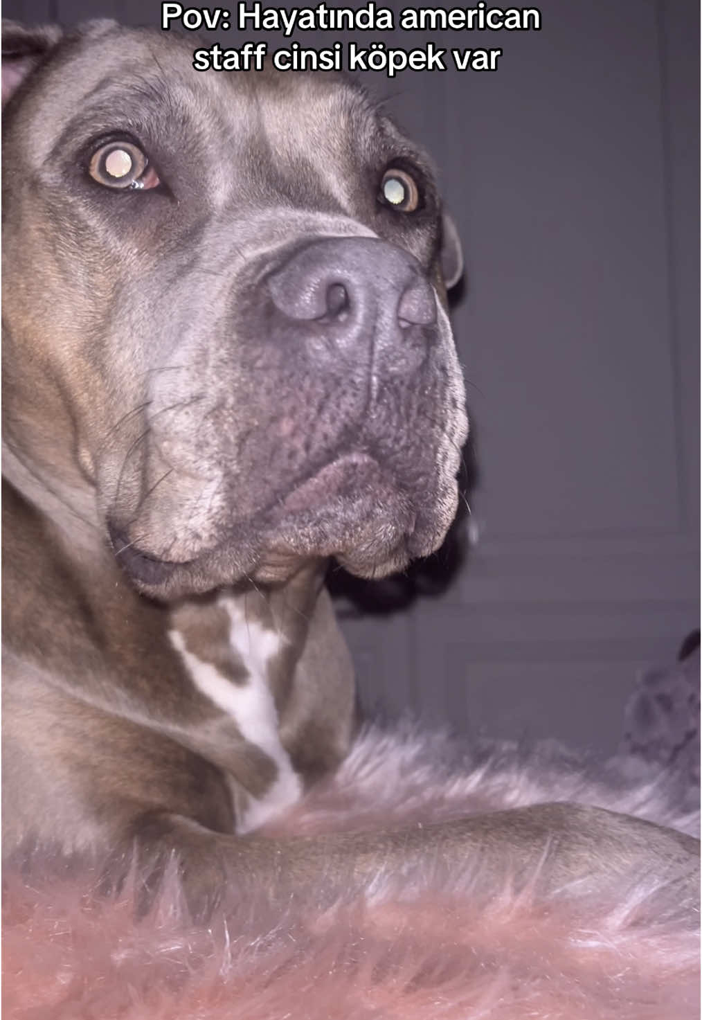 Bella kuşumm 💕