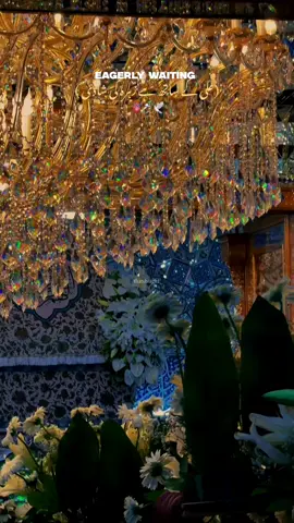 Barat Chali Haider(a.s) ki rehmat ka saye saye❤️🙌🏻 . #imamhussain #karbala #shia #burhantv #tiktok #foryou #foryoupage #fyp #fyp #exploremore #feed 
