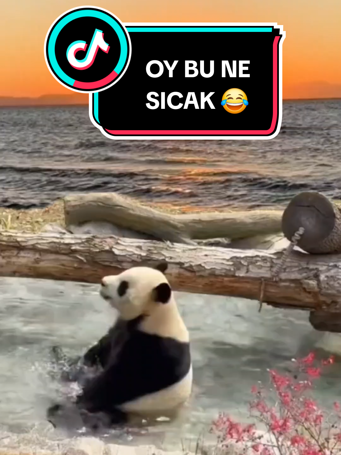 OY OY BU NE SICAK 