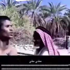 #عطني حقي ههههههههههههههههههه##الشعب_الصيني_ماله_حل😂😂 #ليك______🖤___متابعه____اكسبلووور 