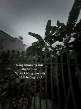 Nắng không về nữa thế là mưa, Người không chờ nữa thế là buông tay..! #xuhong #2025 #tiktok #str #tâmtrạng 