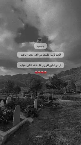 #ياسعود العيد قرب وفقيدي في القبر مدفون ياعيد قل لي شلون افرح والقلب فاقد أغليك أحبابه #💔 #💔🥀 #فقيدي_اشتقت_ٳليك #شهيد💔💔 #اكسبلور 
