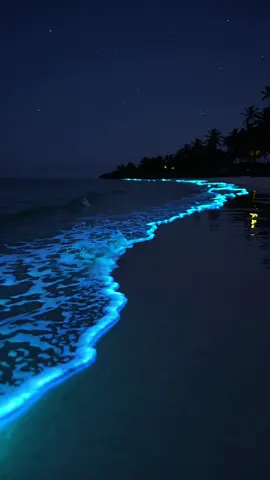Bioluminescent Waves Under the Stars #GlowingBeach #Bioluminescence #NightOcean #MagicalNature #Dreamscape #TropicalNights #NatureGlow #RealisticAI #PeacefulWaves 