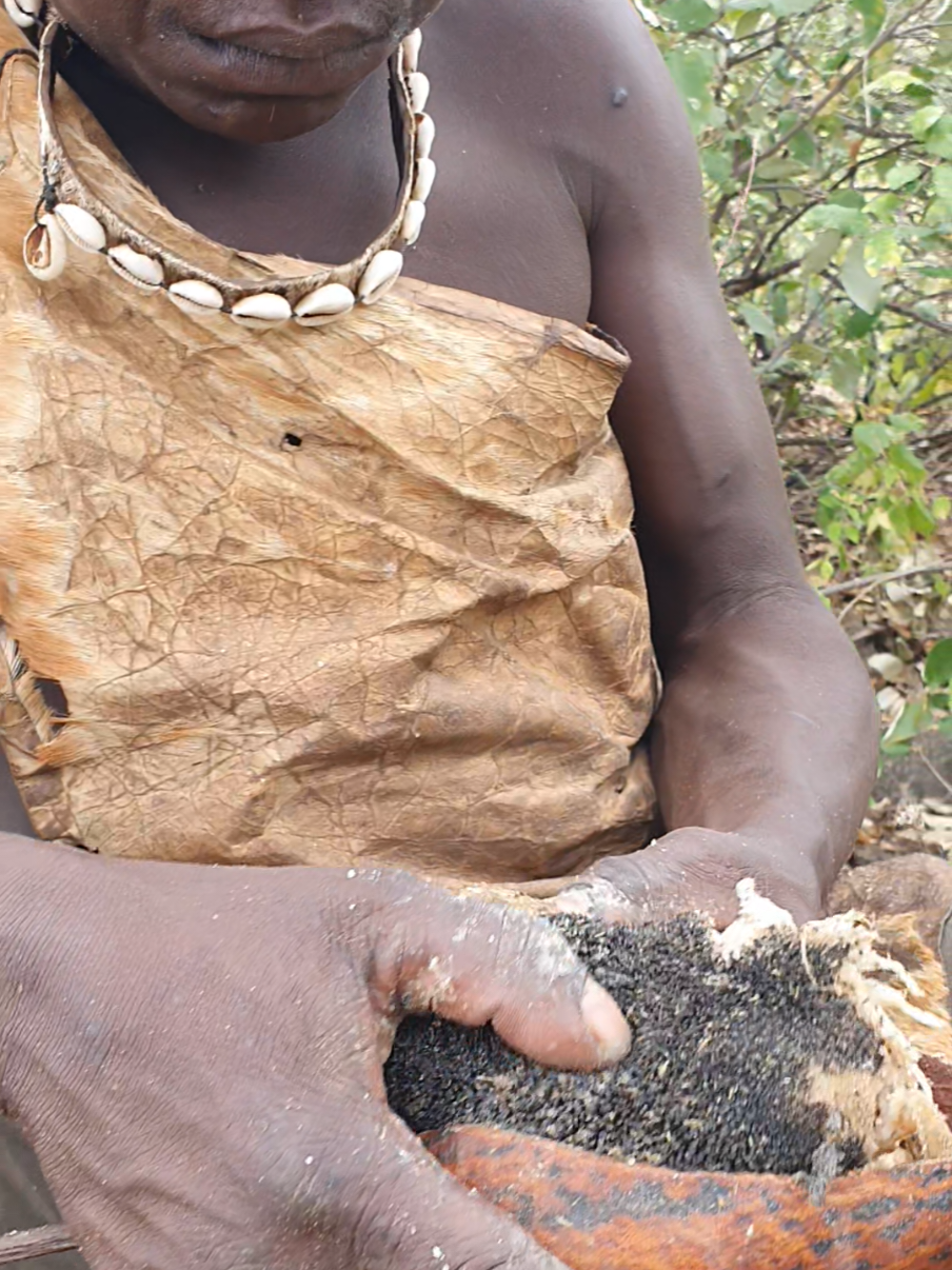 HADZA INDIGENOUS TRIBE #indigenous #bushlife #survival #hadzabetribe #wildlife #Cultures 