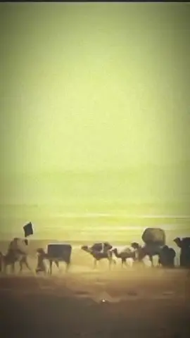 مية هلا بذوله المجبلين.. عباس وحسين ... #ياصاحـــب_الزمـــان #ياحـسـيـن #ياعلي_مولا_عَلَيہِ_السّلام #ابالفضل_العبـــــــّــــــــــاسؑ #سيد_سلام_الحسيني #مسلم_ابن_عقيل_ع #سيد_فاقد_الموسوي 