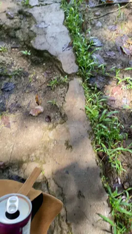 Oraang lampungg yg udahh pernah kesini pasti pengen balik lagi sama Jalan nya👆😭🤣#fypage#curupgangsawaykanan#jalanwaykanan