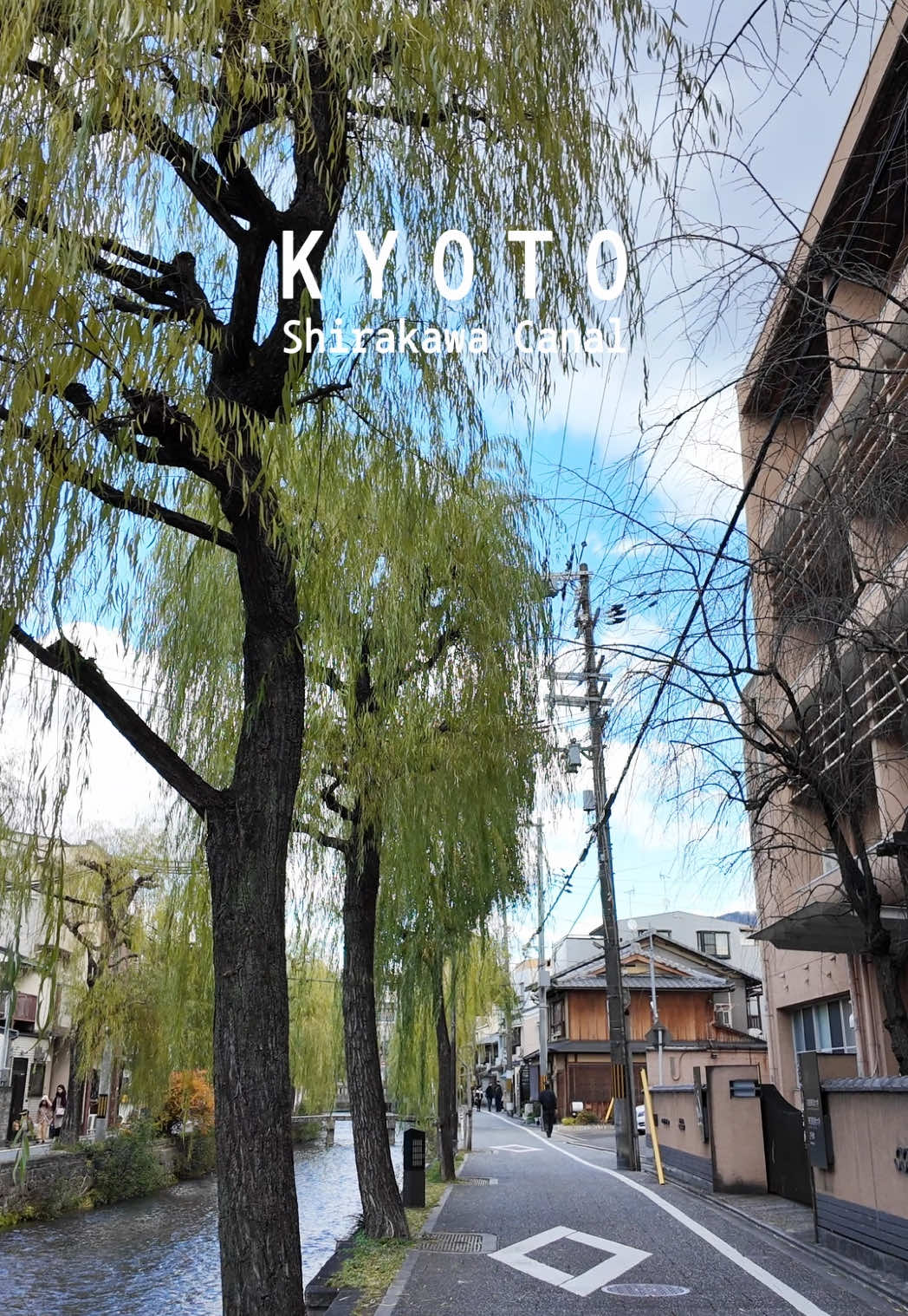 Kyoto Gion Shirakawa Canal Street 24. 12 #교토 #기온거리 #거리풍경 #운하 #일본여행 #kyoto #shirakawacanal #gion #streetsnap #traditional #japan #travelvlog #祇園白川 #京都 