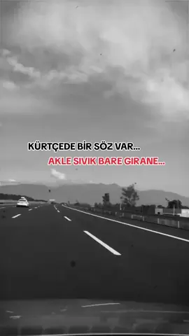#👍 #✋️ 