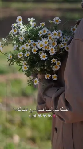 عيشوا بقلب أبيض فليس على الدنيا بقاء ❤️‍🩹.  .  .  .  #تصميم #فاطمة #تصميمي  #الحمدلله_دائماً_وابداً  ‏﴿ وَذَكِّرْ فَإِنَّ الذِّكْرَىٰ تَنفَعُ الْمُؤْمِنِينَ ﴾  ‏- سُبحان الله . ‏- الحَمد لله . ‏- لا إله إلا الله . ‏- الله أكبر . ‏- لا حَول و لا قوة إلا بالله . ‏- سُبحان الله و بِحمده . ‏- سُبحان الله العَظيم . ‏- أستغفِرُ الله الْعَلِيُّ الْعَظِيم وَأَتُوبُ إِلَيْهِ. -لا إِلَهَ إِلا أَنتَ سُبْحَانَكَ إِنِّي كُنتُ مِنَ الظَّالِمِينَ. -اللَّهُمَّ صَلِّ وَسَلِّمْ عَلَى نَبِيِّنَا مُحَمَّدٍ. -يا مقلِّبَ القلوبِ ثَبِّتْ قلبِي على دينِك . 🤍🌿 ردّدوا..