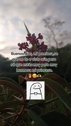 #paratiiiiiiiiiiiiiiiiiiiiiiiiiiiiiii #buenosdiasmiamor😍🥰 #contenidoparadedicar😻 #viralfrases✨ #etiquetaalamordetuvida👫😍 