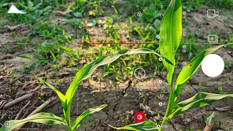 Leica 📸  #flagship #camera #android #xiaomi #phone #aptech23 