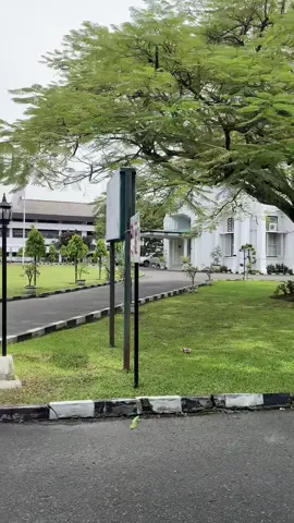 #prosespembuatanbibitsawit #ppks  #pusatpenelitiankelapasawit  #medan #fyp 