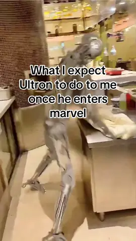 Can’t wait to touch him  #marvelrivalsclips #ultron #marvel #marvelrivalsmemes #marvelrivals 
