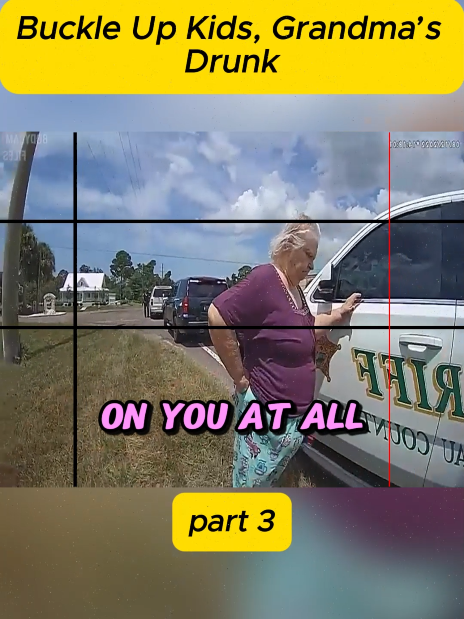Buckle Up Kids, Grandma’s Drunk #cops #police #bodycam