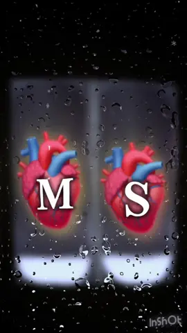 #تصميم_احرف_واسماء_حسب_الطلب🧸☺️ #اطلبوا_وتدللون🦋🧸 #تصاميم #ستوريات_حب #حرفك #حرفك_وحرف_الحب #تصميم_فيديوهات🎶🎤🎬 #ستوريات #تصميم_حر_M_S