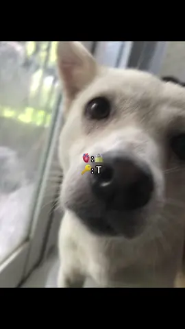 cteee#viral #T #xuhuongtiktok #fbtxuhuong #fyp #t 