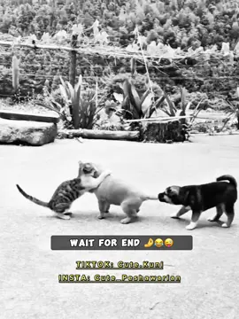 Lastunrri Maar 😂😂 #foryou #peshawar #pashto #hayatabad  #pashtomemes #funnypathan #pashtofunny #پشتو #پشتون #پشتون_تاجیک_هزاره_ازبک_زنده_باد🇦🇫 