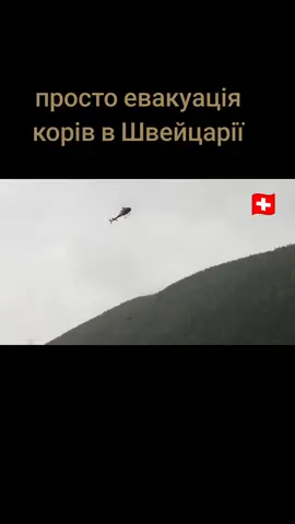 Зі швейцарського села, якому загрожує обвал, евакуювали свійських тварин Влада швейцарського села Блаттен, що в альпійському кантоні Вале, взялась за евакуацію худоби, аби вберегти її від імовірного обвалу в найближчі дні.