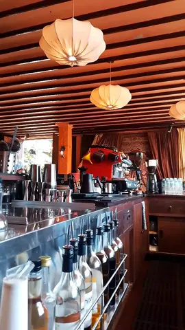 new #frank kerja di bar #fyp #frank #tiktok 