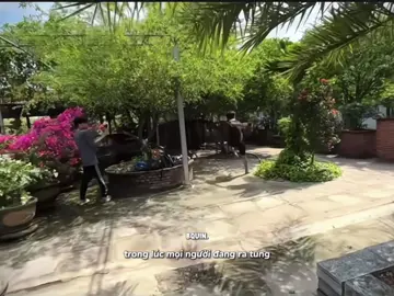 cặp này có lối đi riêng 😂 #trangandvinh #trangandvinh🎀 #tav #diemtrang #diemtrang #tuankhang #khangtrangtrangandvinh #xuhuong #xuhuongtiktok #xh #fypシ゚ #viral 