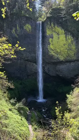 Latourell Falls, Columbia River Gorge, Oregon #Hiking #pacificnorthwest #waterfallsoforegon #CapCut  