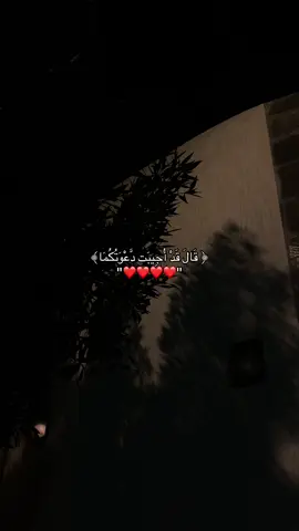 #قران_كريم #اكتب_شي_توجر_عليه #parati 