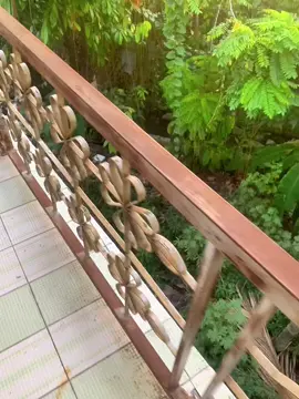 pengen banget aku potong ni semua pohonnya #4u 