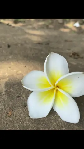 #ဖီးလိုက်ကြဘာအုန်း☹️💔 #livephot #စာတို #ရေးချင်တာရေးကြ👈 #fyppppppppppppppppppppppp #ပြည်တွင်းဖြစ်ကိုအားပေးပါ🇲🇲🇲🇲 @moriko 