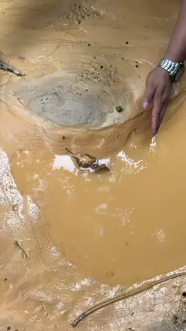 Find Peanut Butter Part two (Gold in sand) #goldtreasure #goldpanning #golddiscovery #goldnugget #findgold  #goldhunting #goldprospecting 