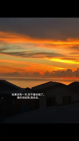 如果说有一天,你不喜欢我了。 请你说给我,我会走。#情绪 