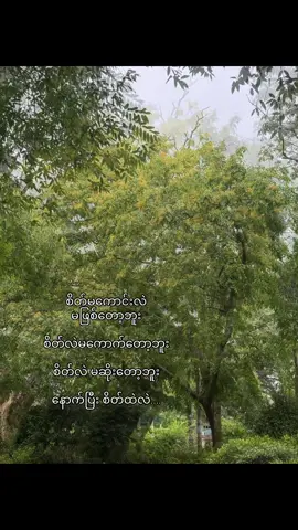 #foryou #justedit #livephoto #tiktok #videoviral #fppppppppppppppppppp 