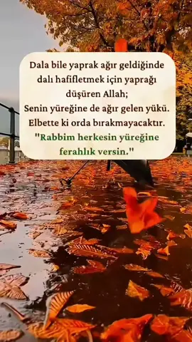 #kesfetbeniöneçıkart  #fyp 