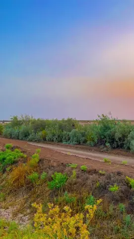 #اللهم_صلي_على_نبينا_محمد #تحياتي_لجميع_المشاهدين_والمتابعين #تصوري_احترافي_الاجواء👌🏻🕊😴 