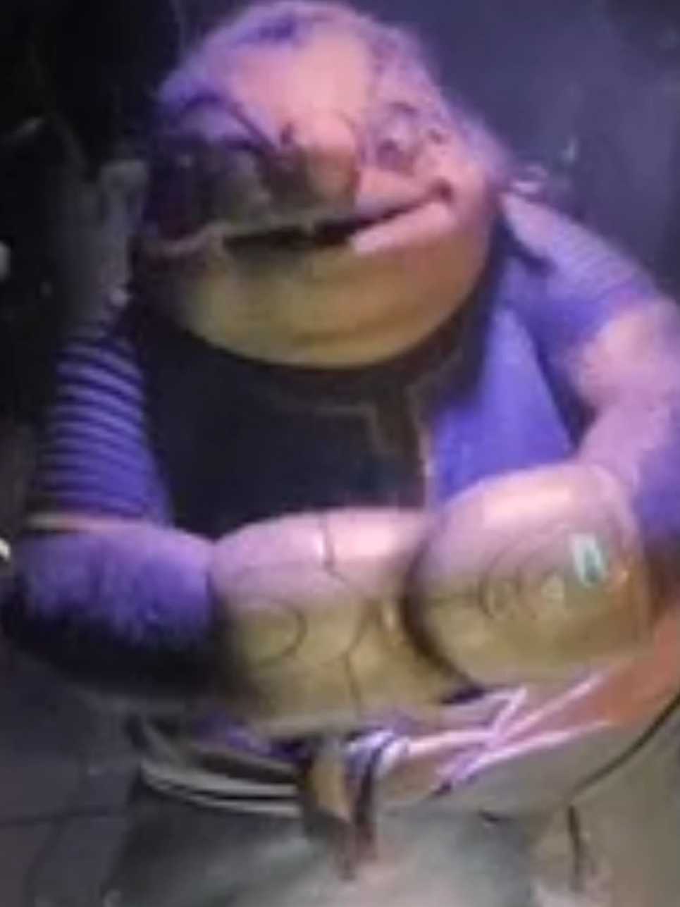 All I could think about fr #jumba #liloandstitch #zachgalifianakis #meme #tonighttonight 