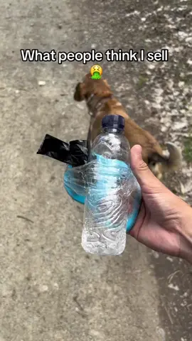 Clean, Easy, Hydrated. The Only Dog Leash You’ll Ever Need – Now 50% Off