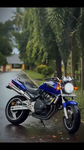 😩💙🐝#Hornet250 #foryou #foryoupage #virla #tiktoksrilanka🇱🇰 #viralvideo #fpyyyyyyyyyyyyyyyyyyyyyy #fffffffffffyyyyyyyyyyypppppppppppp #bikelover #250cc #aloka__x 