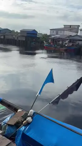 #kejadian_tdi_sore_didesa_air_hitam_laut seorg ank di mkan buaya. 