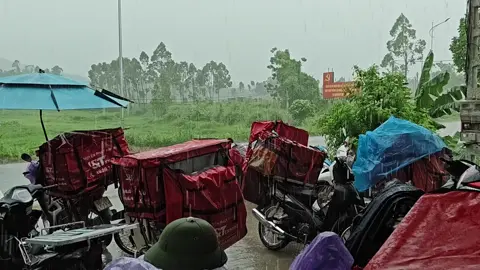 mưa cũng như nắng 😆 mưa to thì trú 💬 , mưa nhỏ là k mưa ☔ Đúng k các ae đồng nghiệp #xuhuongtiktok #shipper 