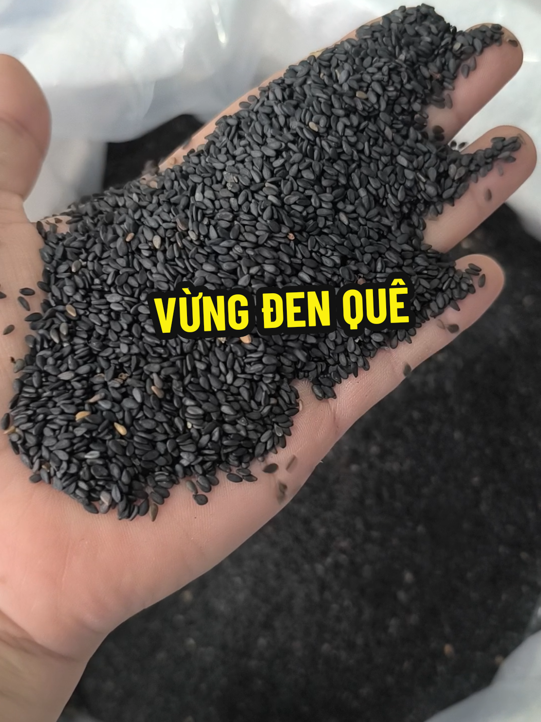 Vừng đen quê đãi sạch hạt nhỏ vỏ mỏng rang rất thơm ngon, ngậy béo #meden #vungden #muoivungngon #monngonmoingay 