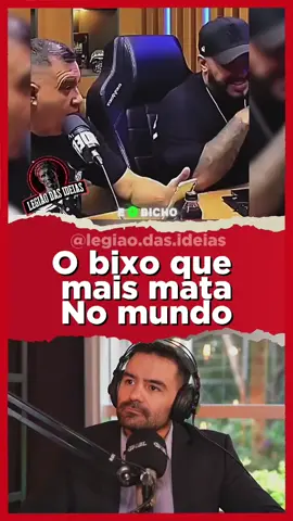 O bixo que mais mata no mundo @Arthur do Val  #cortesmbl #mbl #mblcortes