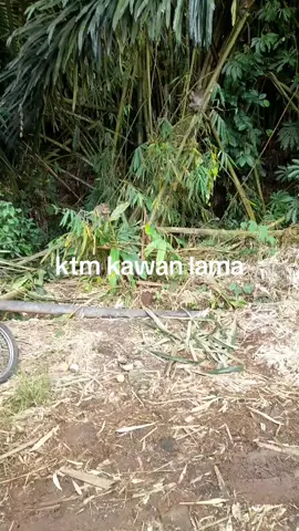 ktm kawan lama 