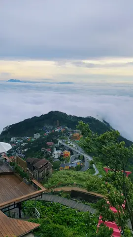 View săn mây đỉnh nóc kịch trần ở Tam Đảo. Ngày 23/05/2025 #tamđảo #sănmây #sănmâytamđảo #cafetamđảo 