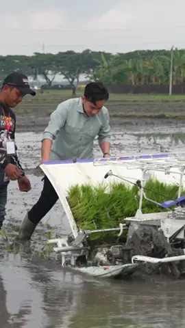 Dari lahan pertanian seperti inilah, Indonesia sekarang bisa mencapai swasembada beras. Kita sekarang memiliki lebih dari 3,9 juta ton stok beras. Dalam kesempatan ini, pemerintah juga menyerahkan bantuan alat dan mesin pertanian, termasuk 1 unit combine harvester dan 13 unit traktor roda dua untuk para petani di Desa Gempel, Ngawi.