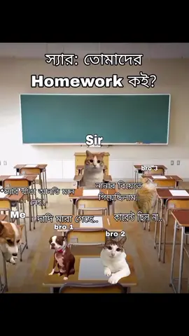 frr.. 🫡 ..  ..  ..  #foryoupage #cat #memes #viralvideo #funnyreaction #catfunnyvideos #foryou 
